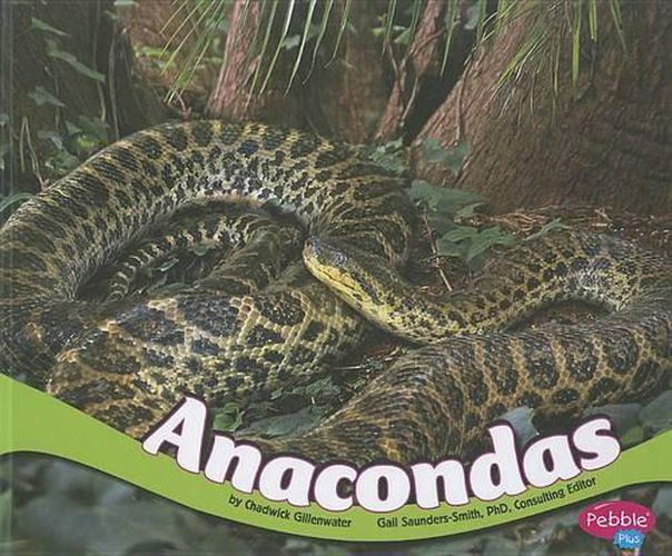 Cover image for Anacondas