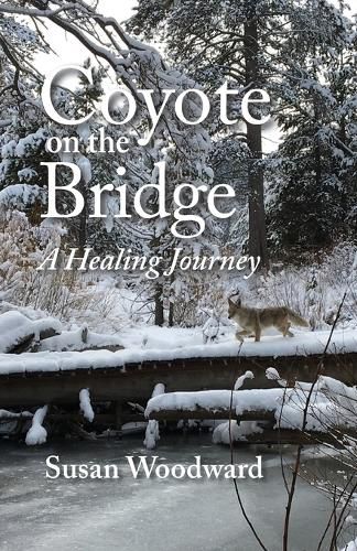 Cover image for Coyote on the Bridge