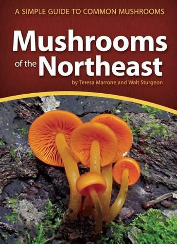 Cover image for Mushrooms of the Northeast: A Simple Guide to Common Mushrooms