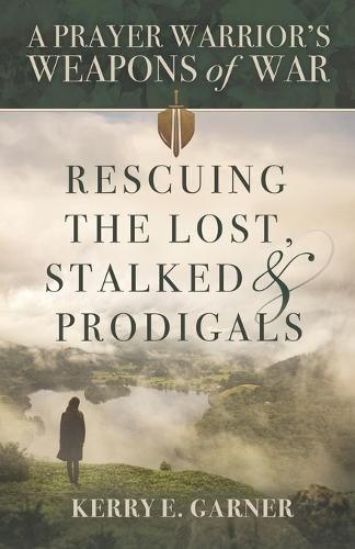 Cover image for Rescuing the Lost, Stalked & Prodigals