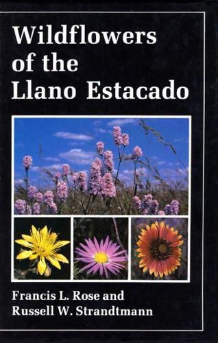 Cover image for Wildflowers of the Llano Estacado