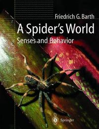 Cover image for A Spider's World: Senses and Behavior