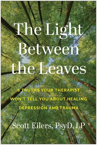 Cover image for The Light Between the Leaves