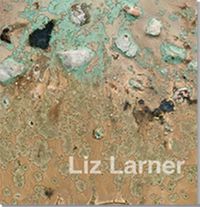 Cover image for Liz Larner