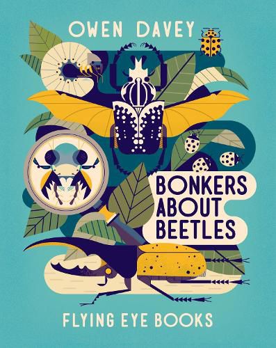 Cover image for Bonkers About Beetles