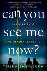 Cover image for Can You See Me Now?