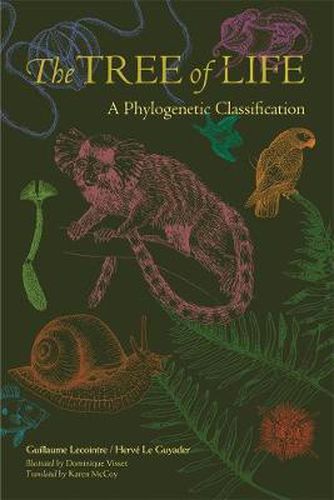 Cover image for The Tree of Life: A Phylogenetic Classification