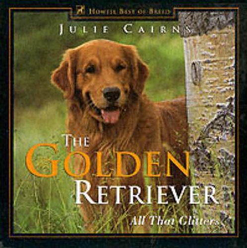 Cover image for The Golden Retriever