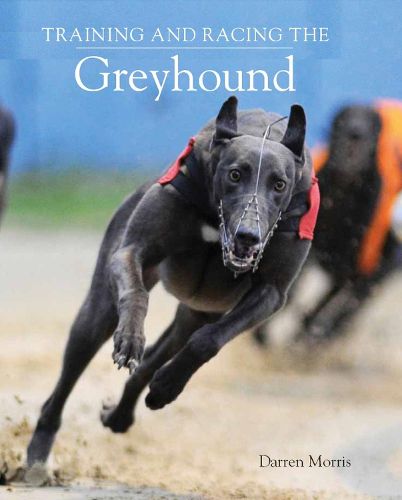 Cover image for Training and Racing the Greyhound