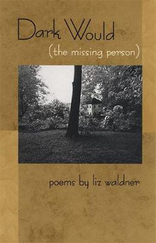 Cover image for Dark Would (The Missing Person)