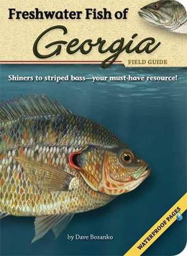 Cover image for Freshwater Fish of Georgia Field Guide