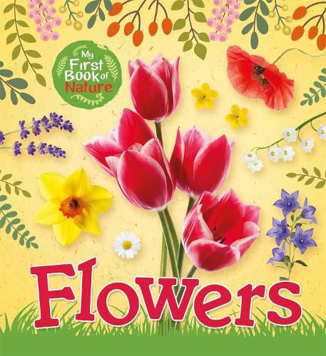 Cover image for My First Book of Nature: Flowers