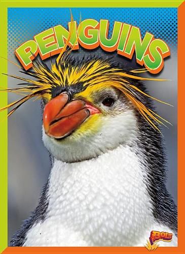 Cover image for Penguins