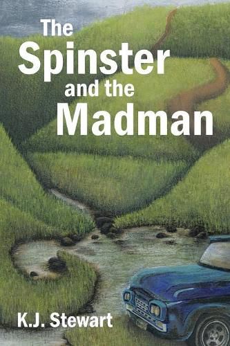 Cover image for The Spinster and the Madman