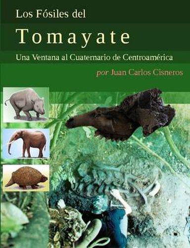 Cover image for Los Fosiles Del Tomayate: Una Ventana Al Cuaternario De Centroamerica