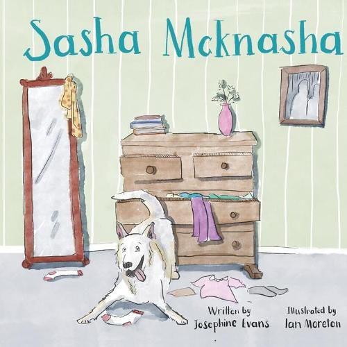 Cover image for Sasha McKnasha