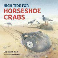 Cover image for High Tide for Horseshoe Crabs