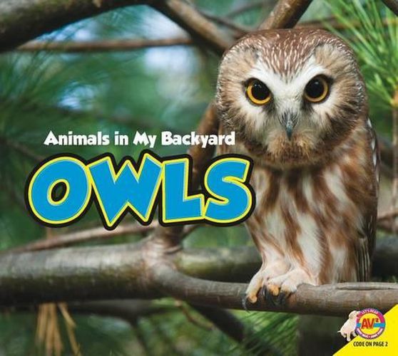 Cover image for Owls