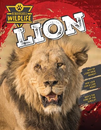 Cover image for Lion