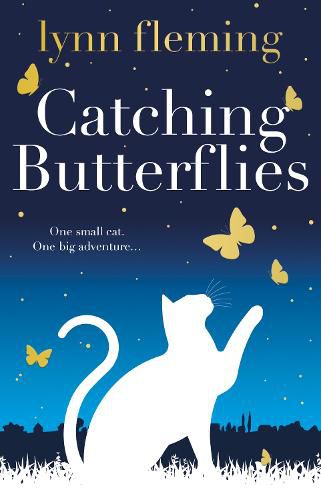 Cover image for Catching Butterflies