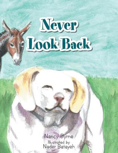Cover image for Never Look Back