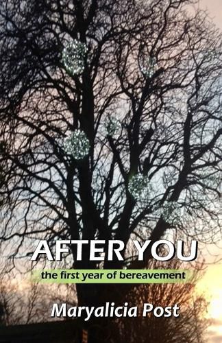 Cover image for After You: A Journey through the First Year of Bereavement