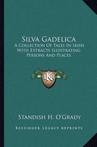 Cover image for Silva Gadelica: A Collection of Tales in Irish with Extracts Illustrating Persons and Places