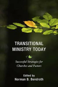 Cover image for Transitional Ministry Today: Successful Strategies for Churches and Pastors