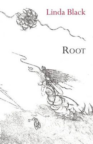 Cover image for Root