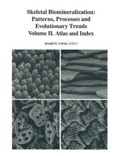 Cover image for Skeletal Biomineralization: Patterns, Processes and Evolutionary Trends: Volume II. Atlas and Index