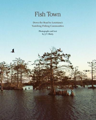 Cover image for Fish Town: Down the Road to Louisiana's Vanishing Fishing Communities