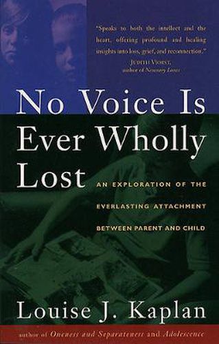 Cover image for No Voice is Ever Wholly Lost