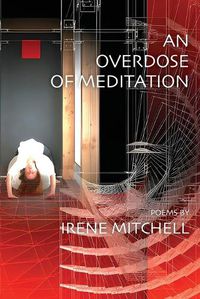 Cover image for An Overdose of Meditation