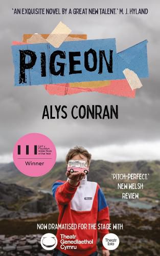 Cover image for Pigeon
