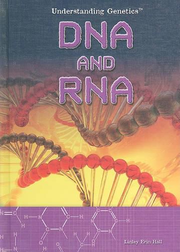 Cover image for DNA and RNA