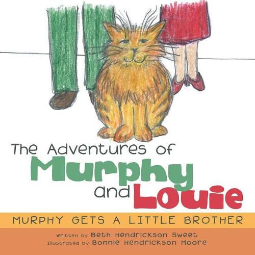 Cover image for The Adventures of Murphy and Louie: Murphy Gets a Little Brother