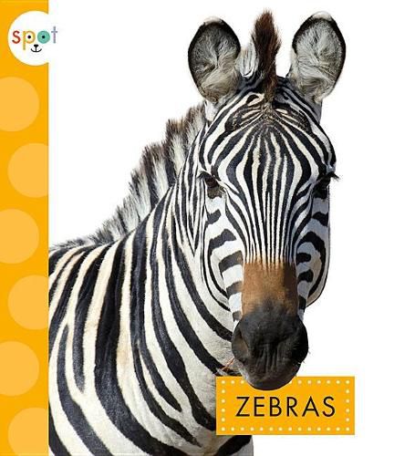 Cover image for Zebras