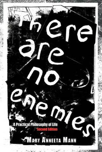 Cover image for There Are No Enemies