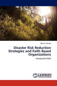 Cover image for Disaster Risk Reduction Strategies and Faith Based Organizations