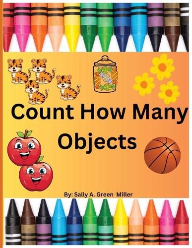 Cover image for Count How Many Objects