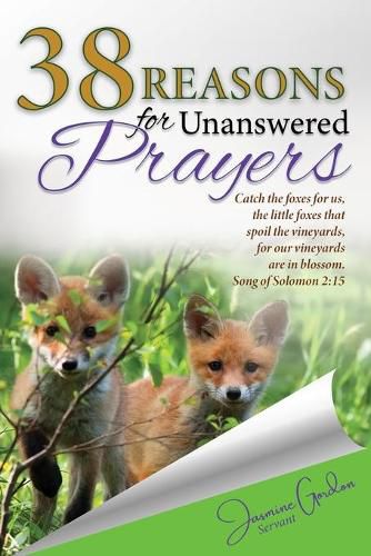 Cover image for 38 Reasons For Unanswered Prayers