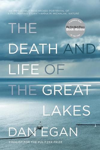 Cover image for The Death and Life of the Great Lakes