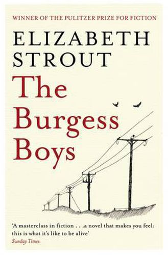 Cover image for The Burgess Boys