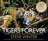 Cover image for Tigers Forever: Saving the World's Most Endangered Big Cat