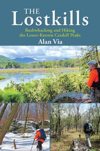 Cover image for The Lostkills