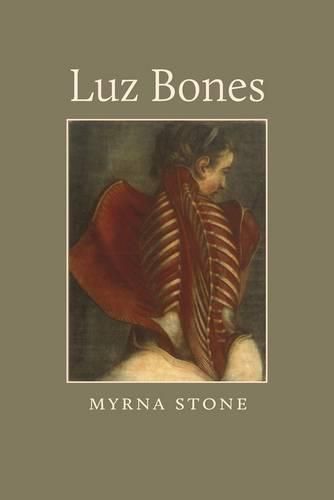 Cover image for Luz Bones