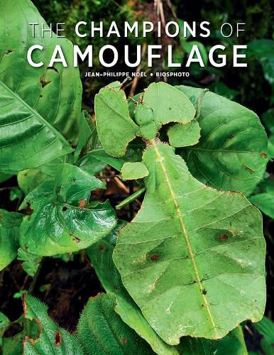 Cover image for Champions of Camouflage