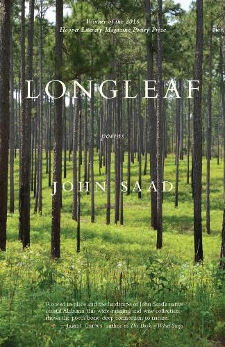 Cover image for Longleaf