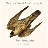 Cover image for The Peregrine: 50th Anniversary Edition: Afterword by Robert Macfarlane