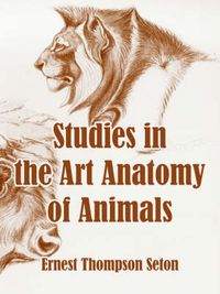 Cover image for Studies in the Art Anatomy of Animals